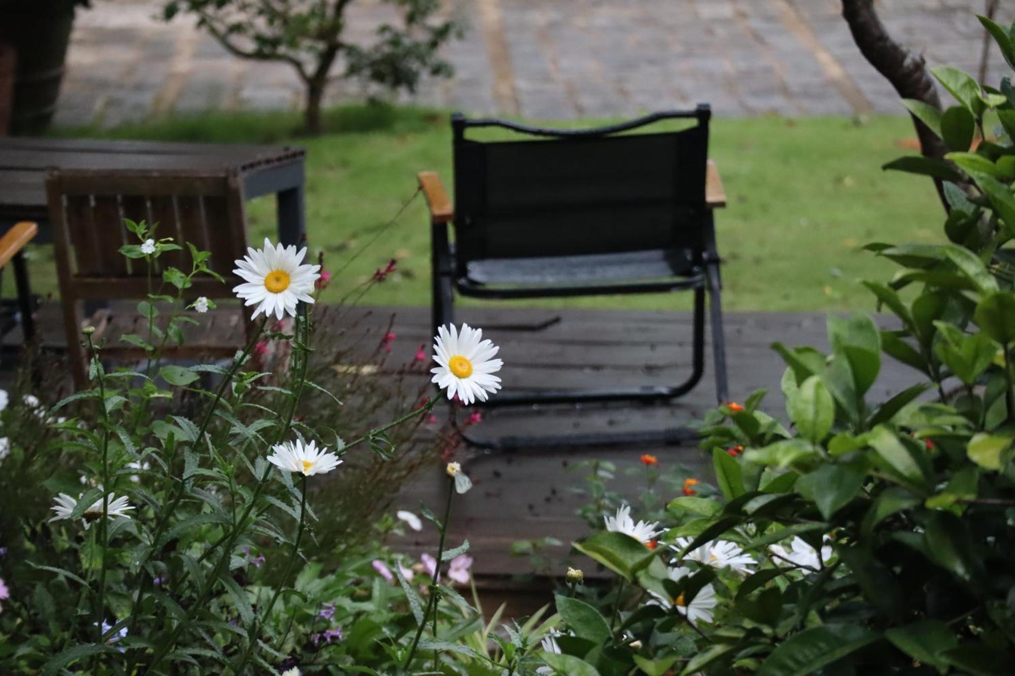 Hoang Loc Villa Da Lat Zewnętrze zdjęcie